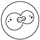 Cancer of Unknown Primary